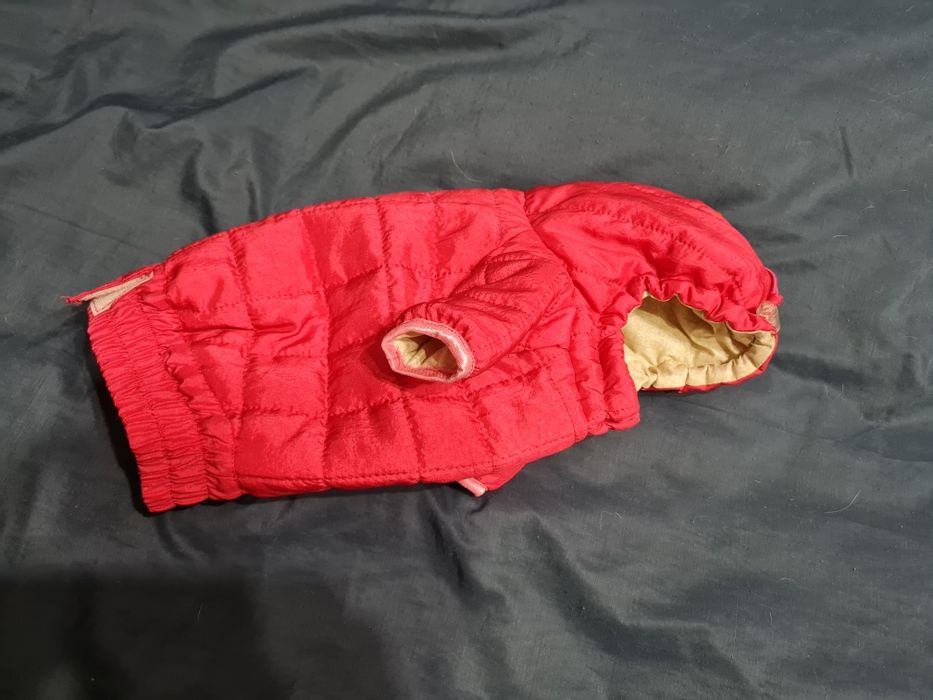 Одежда для животных.