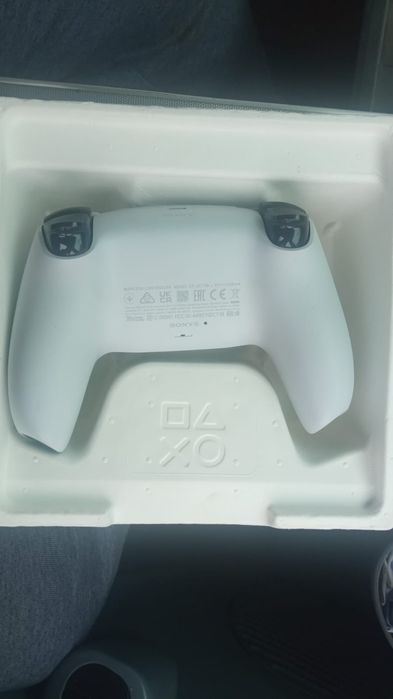 Controller alb PS5
