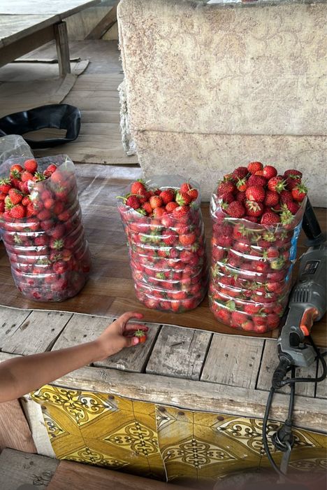 Сдаем  дачу в аренду