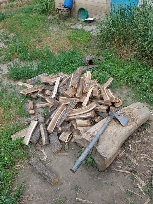 Дрова для шашлыка. Карагач  в мешках..