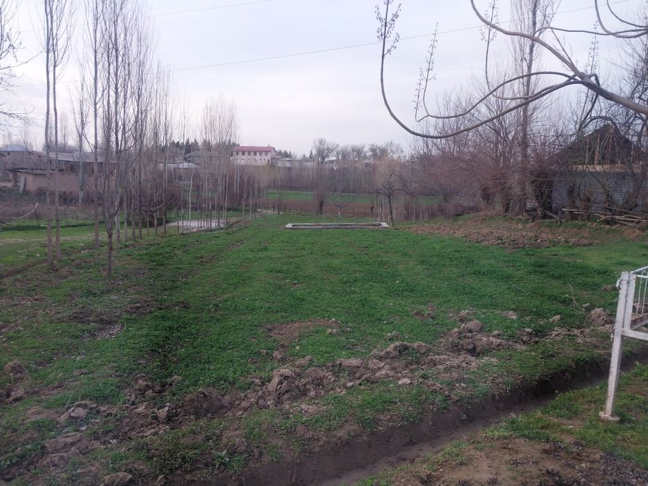 10 sotik yer sotiladi quruq yer