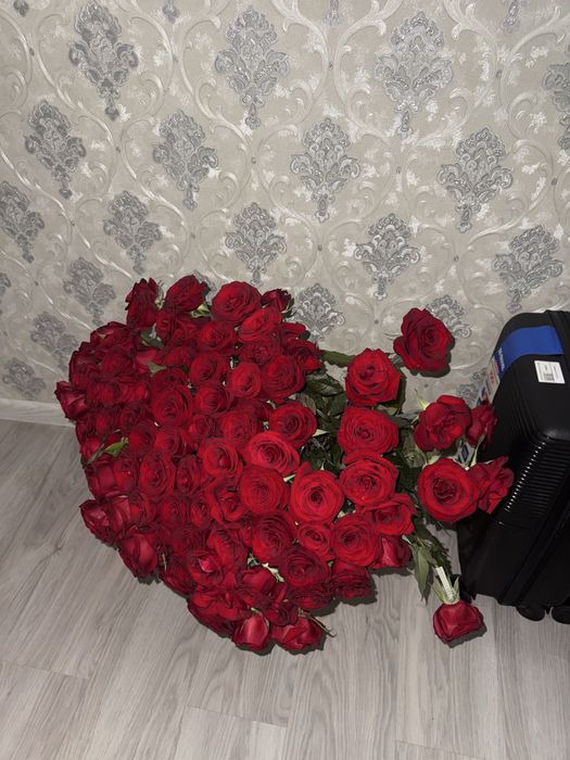 Цветы нов новый арзан бағада