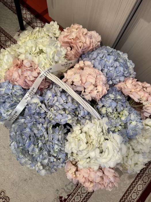 Гортензия размер L