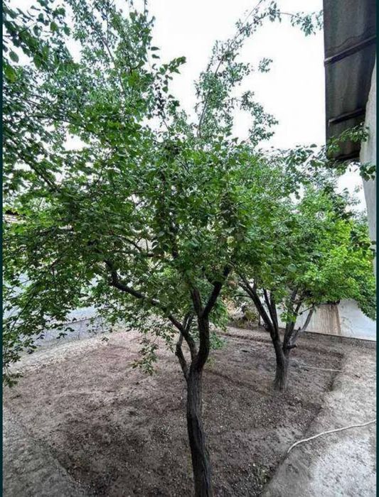 Срочно уй сотилади Водникда