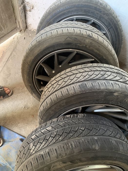 Diska vossen orginal