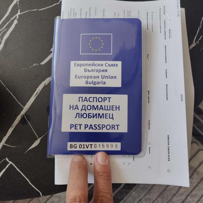 Hемска Oвчарска със чип и всички ваксини