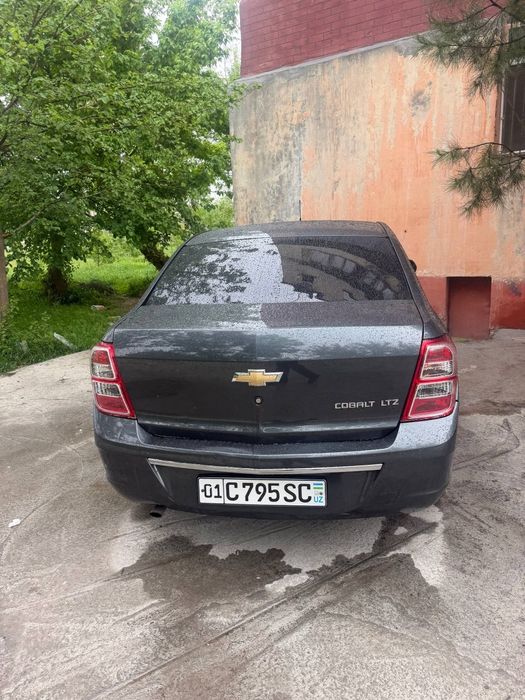 Cabolt 2024 kraska tozza