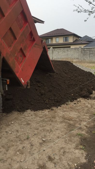 Земля горная чернозем