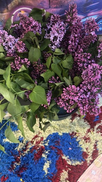 Продажа свежой сирени