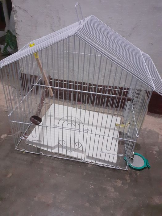 Colivie păsări  mici