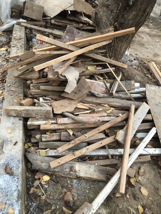 Otin 1 labo 1million som