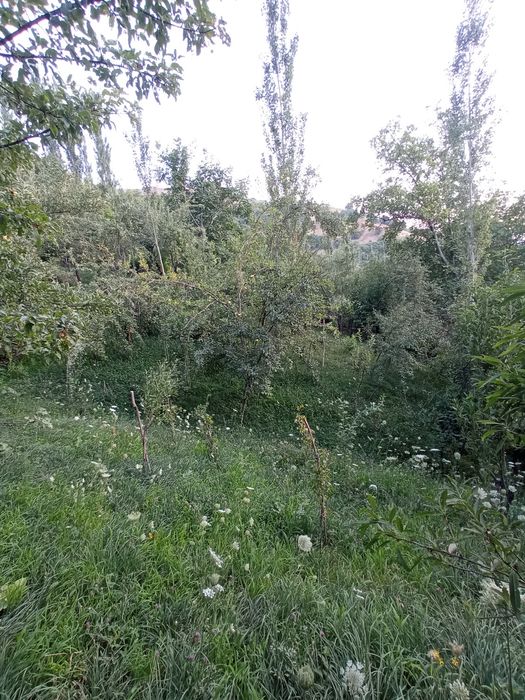 Srochna Yer sotiladi 8 sotix Bo'stonliqda