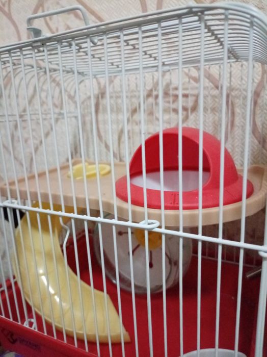 Клетка для джунгарского хомяка