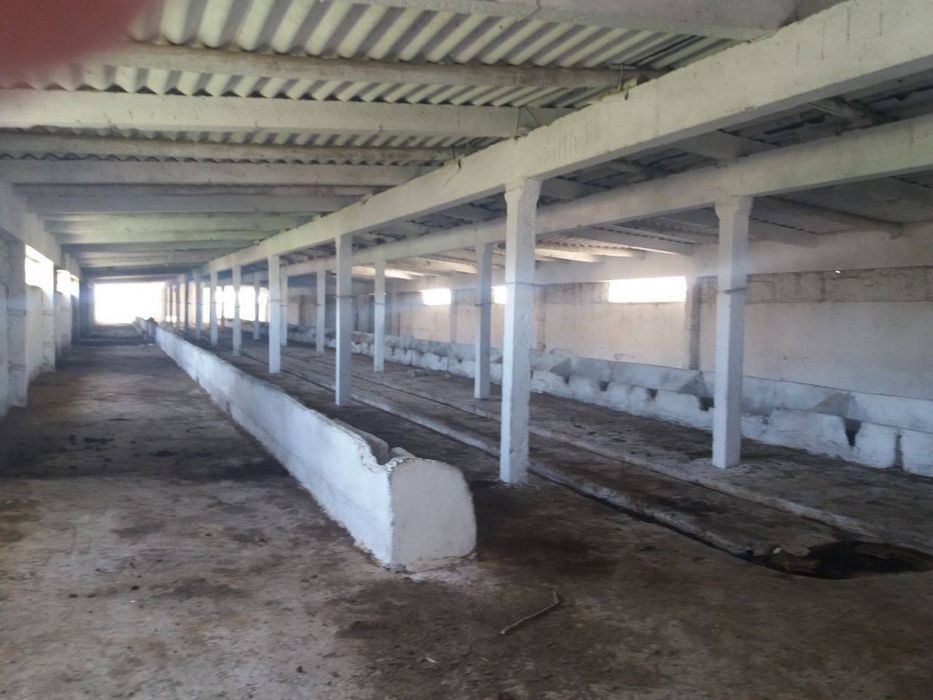 Er sotiladi Jizzax shahar Manasda tayyor ferma