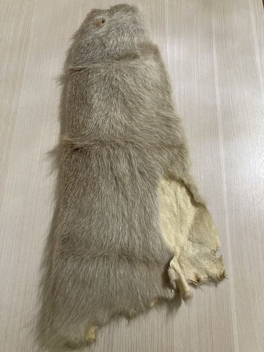 Продам шкурку-чулок нутрии