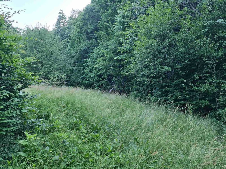 Продава се Парцел в Габрово, Бичкиня - 1200 кв.м за 3 €/кв.м - Снимка #5