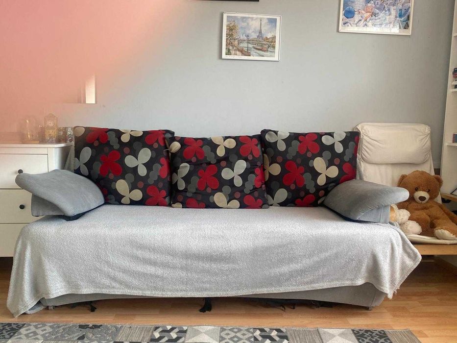 Canapea extensibila gri