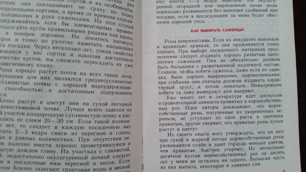 Розы. Фиалки. Лилии