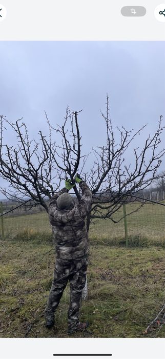 Cosmetizare /Taiere pomi fructiferi /Tocat resturi Vegetale