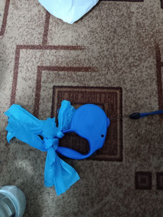 Vand lesa noua cu zgarda pentru caine