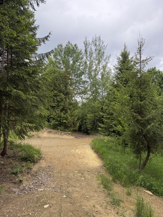 Teren Sucevita intravilan 2700