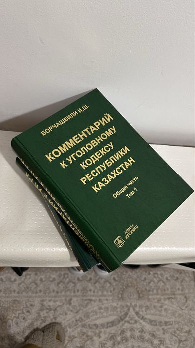 Комментарий к УК кодексу РК Борчашвили
