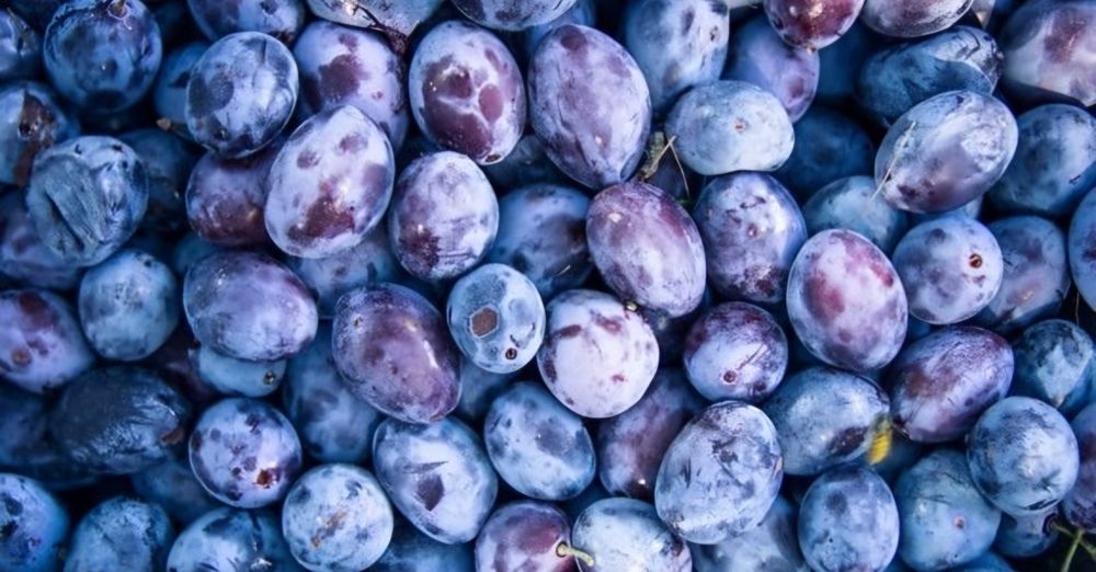 Vand prune de tuica