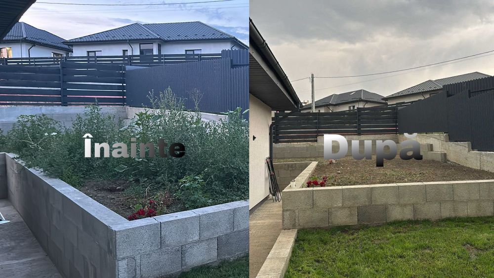 Cosim, Tăiem, Curățăm – Rapid și Eficient! Plus altele.