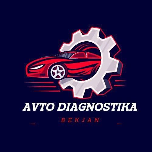 Автоэлектрик диягност