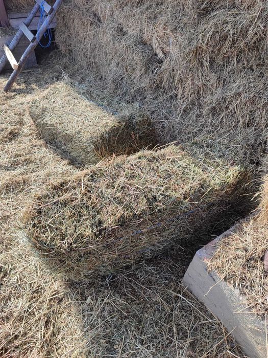 Baloti de fan la 22 de kilograme