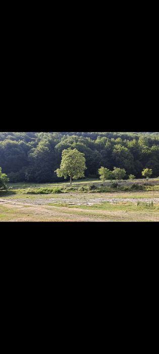 Sinaia -Moroieni Teren Intravilan