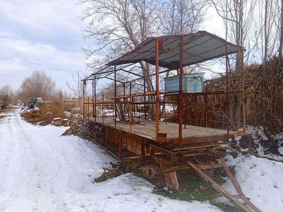 Asal ari pirsepimiz satilmaqda