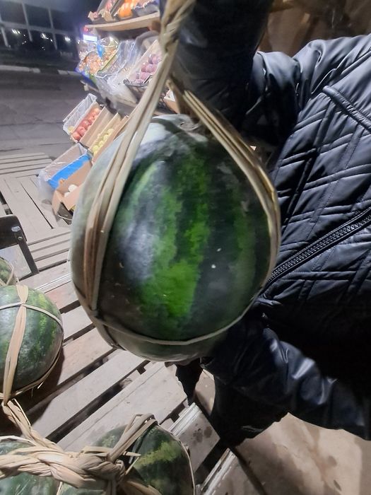 Tarvuz qovun 15000 som