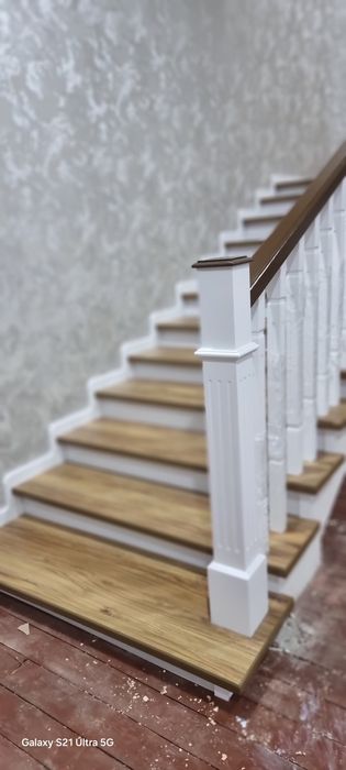 Лесниса zina xarxil turda