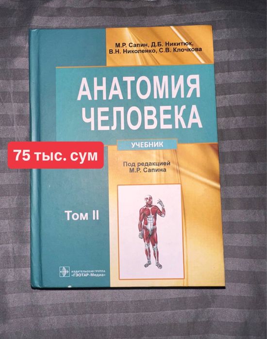Учебник по анатомии Сапин 2том, контурная карта по анатомии человека