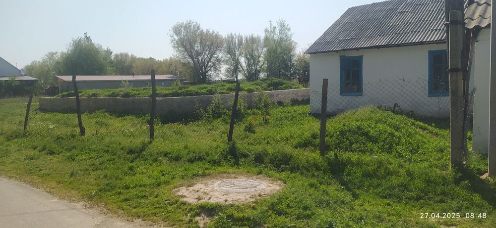 Уй сатылады екпінді достық 6