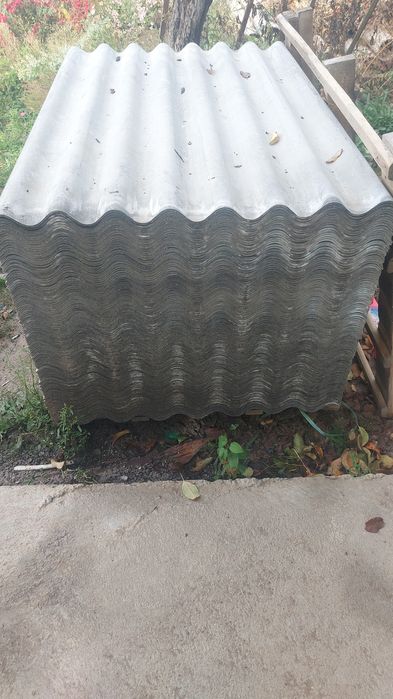 Новый шифер жана шипр