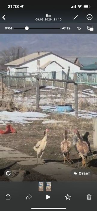 Дакан бойцовский обмен