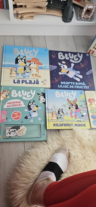 Vand set carti Bluey