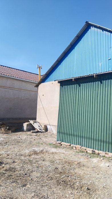 Алушылар бірден хабар беріңіздер срочна