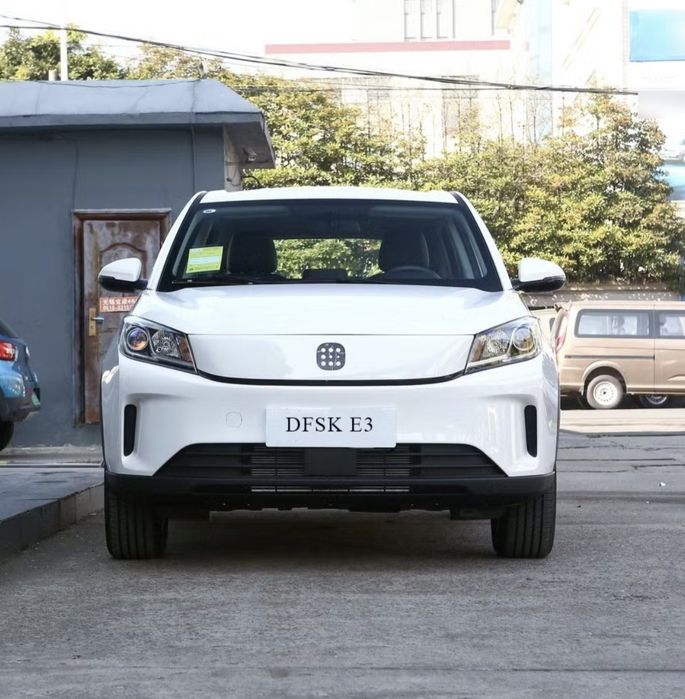 Dongfeng Lan Dian BOSHLANG'ICH NARXI 1000$
