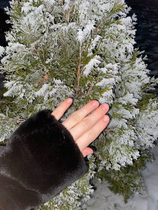 Норка шуба короткий