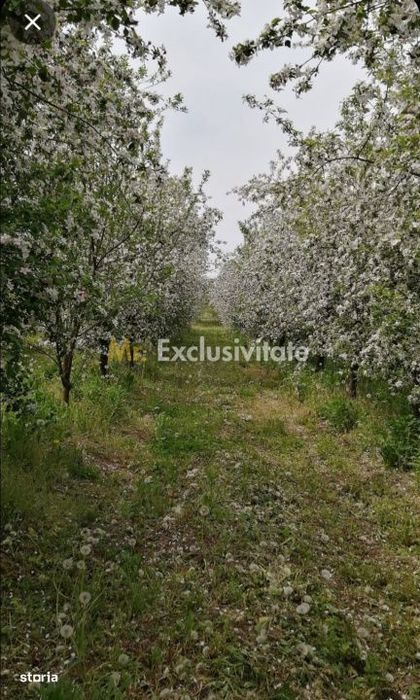 De Vânzare Casă Valea Vinului