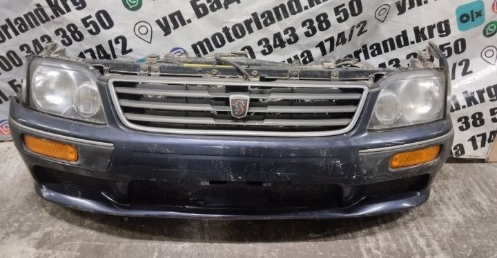 Ноускат Nosecut Nissan Stagea