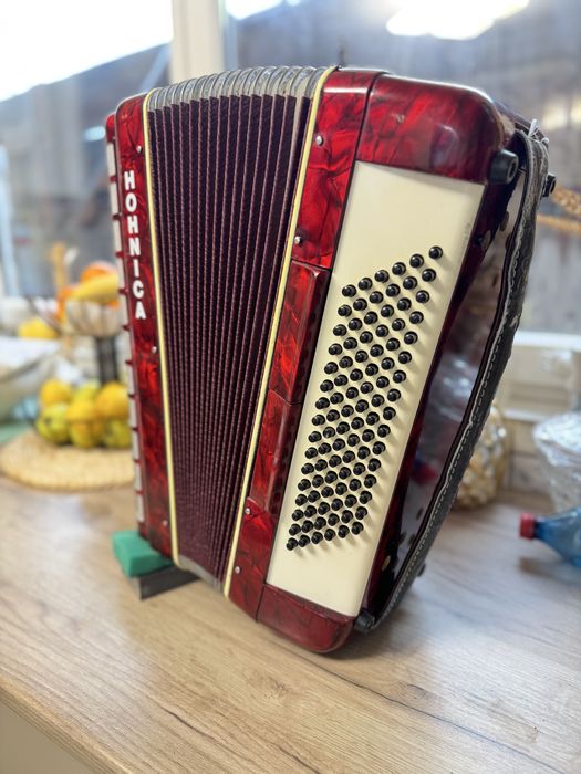 Acordeon parrot