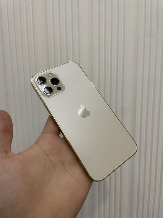 12 pro max 256gb