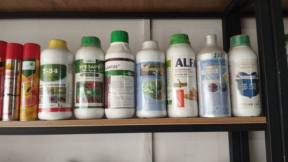 Agro dorilar gul daraxt ko'chat urug'lar