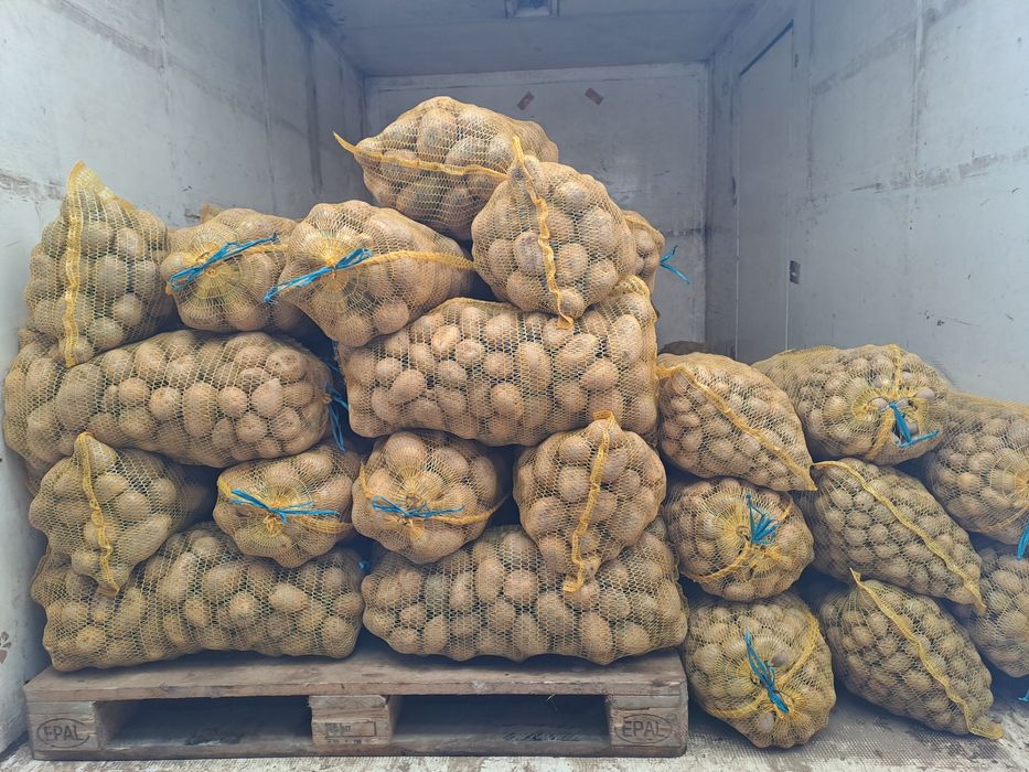 Картофи за консумация и семена