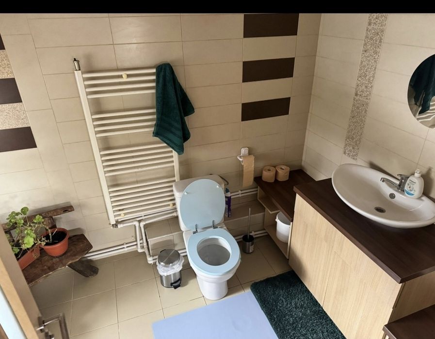 Cabana relaxantă în natură Unguraș