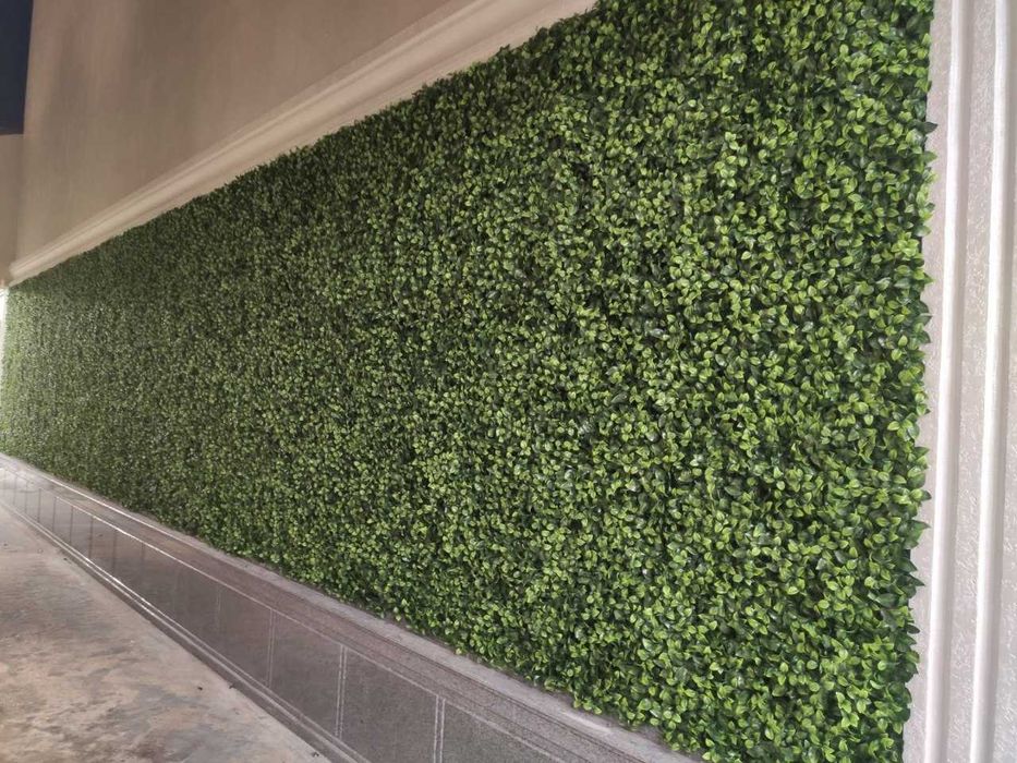 Искусственные растения на стену (фито модули) с установкой